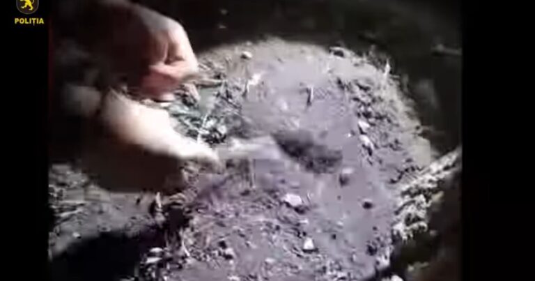 (video) Trei „arheologi” din Sîngerei reținuți de poliție. Vindeau „exponatele” pe Telegram