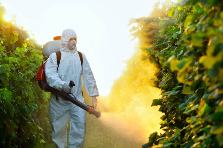 Agricultorii și populația, îndemnați să evite abuzul de pesticide