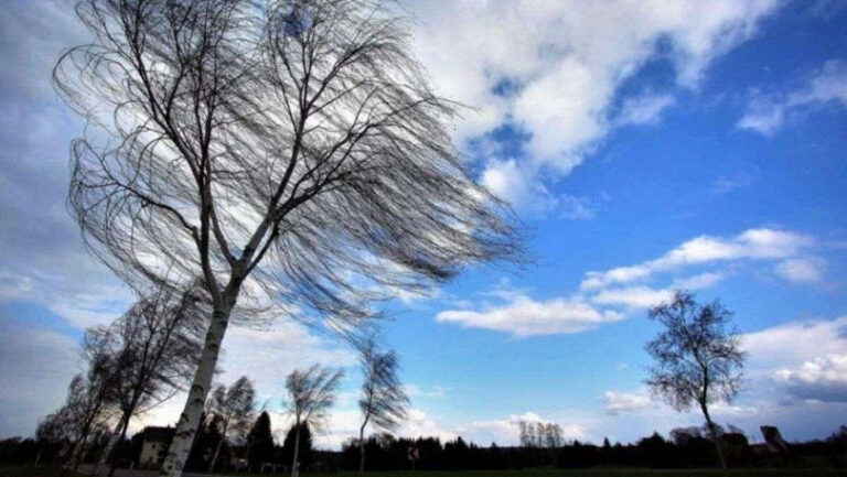 Cod Galben de vânt puternic! Meteorologii și salvatorii avertizează populația