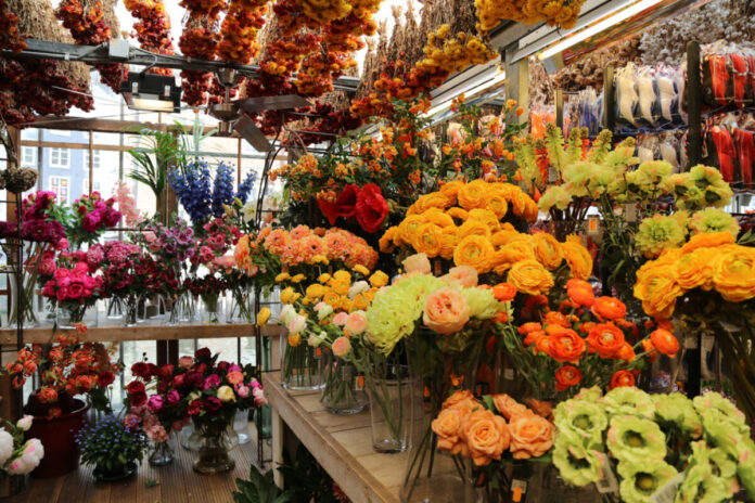 Flowers,At,The,Amsterdam,Market