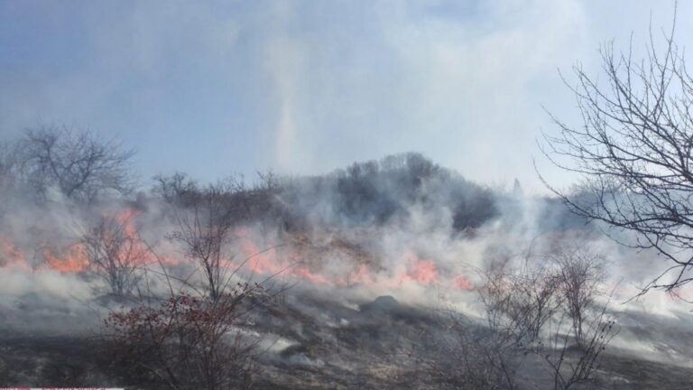 Incendiile de vegetație fac ravagii în România: terenuri distruse și o rezervație arsă din cauza incendiilor de vegetație
