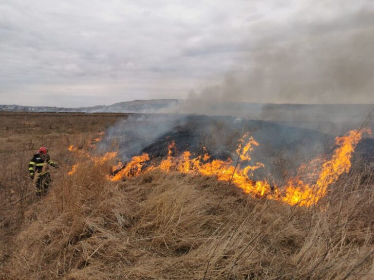 Incendii de vegetație, un risc major: Pompierii cer prudență