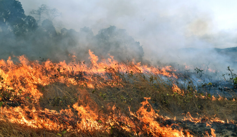 Atenție la focul în aer liber! Amenzi usturătoare pentru cei care provoacă incendii