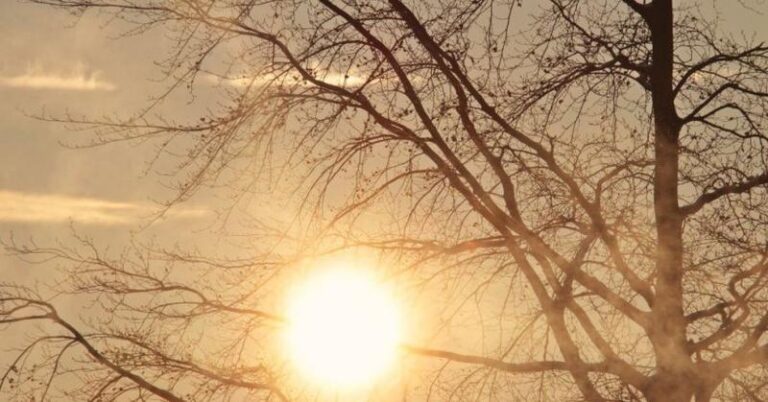 /METEO/ Cer senin și temperaturi primăvăratice. Ce prognozează meteorologii pentru vineri, 21 martie