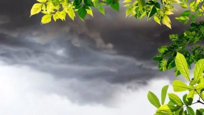 /METEO/ Cer noros, fără precipitații. Câte grade sunt prognozate luni, 24 martie