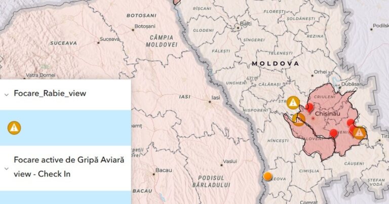 ANSA anunț un nou focar de Pestă porcină africană, în centrul țării