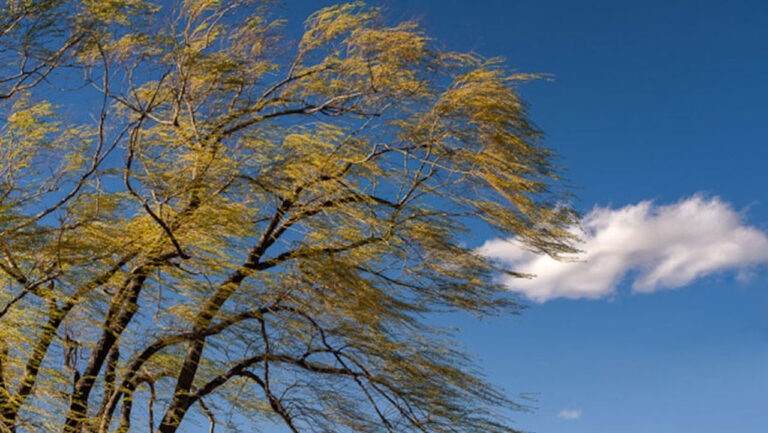 Meteorologii au emis un nou COD GALBEN în Republica Moldova. Cetățenii sunt îndemnați să fie prudenți