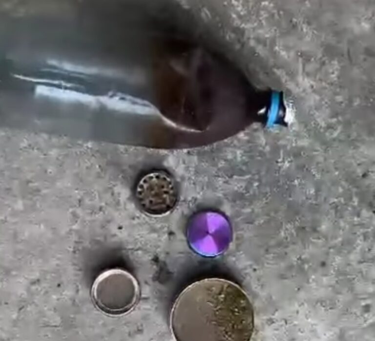 (video) Un medic din Cimișlia reținut de ,,Fulger” pentru  cocaină și marijuana