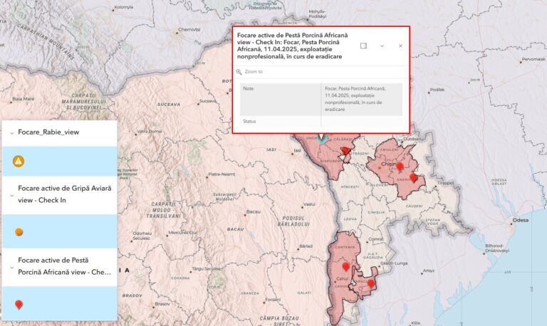 Un nou focar de Pestă porcină africană