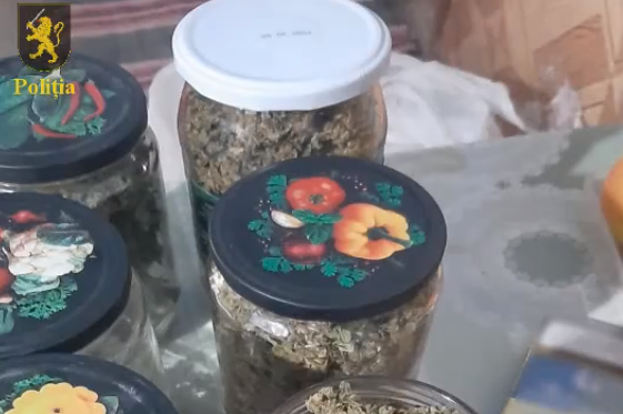 (video) Borcane întregi cu cannabis, pastile psihotrope de peste un milion de lei găsite în sudul țării