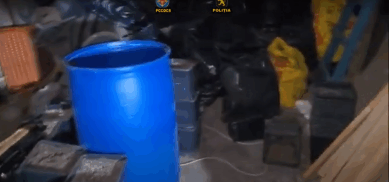 (video) Laborator de creștere a cannabisului, la Ialoveni