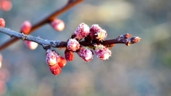 Meteorologii au emis COD GALBEN pe întreg teritoriul Republicii Moldova