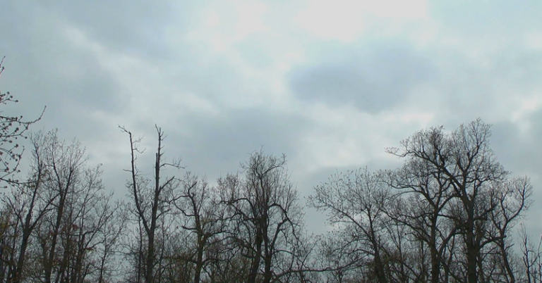 /METEO/ Cer noros și precipitații slabe. Câte grade sunt prognozate pentru miercuri, 2 aprilie