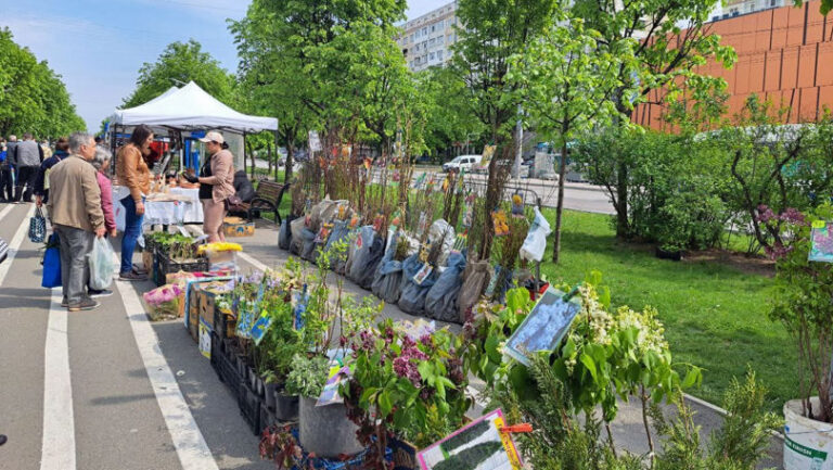 Târguri și iarmaroace cu produse autohtone în acest weekend. Primăria Chișinău a anunțat locațiile