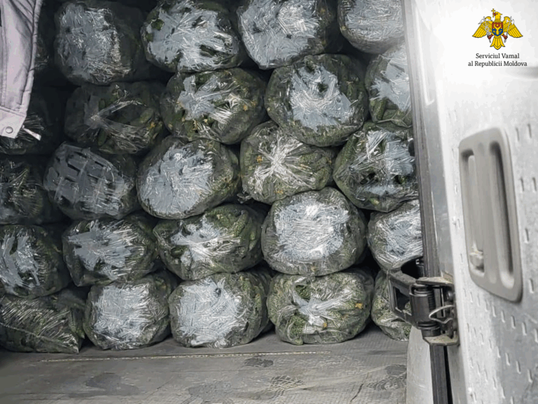 Bărbat prins cu o tonă de castraveți proaspeți în microbuz, la Fălești. Ce explicații a oferit vameșilor