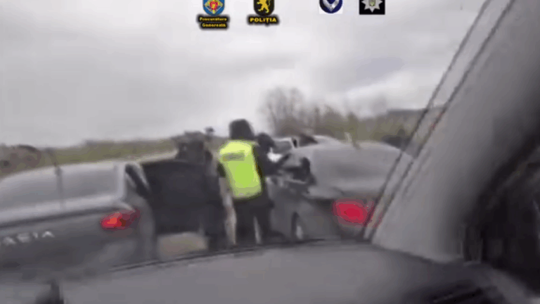 (video) Poliția a reținut o grupare criminală specializată în producerea drogurilor