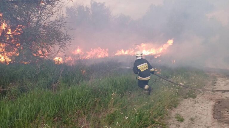 Incendiu de proporții, la Cahul. Zeci de hectare în flăcări
