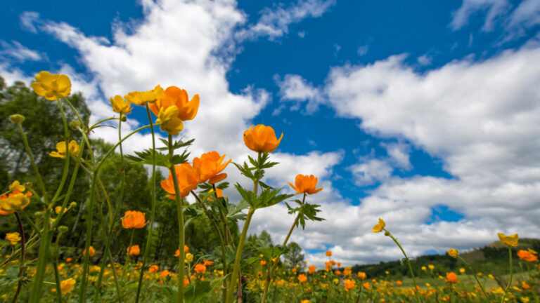 /METEO/ Cer variabil și vreme instabilă. Câte grade vor fi marți, 13 mai