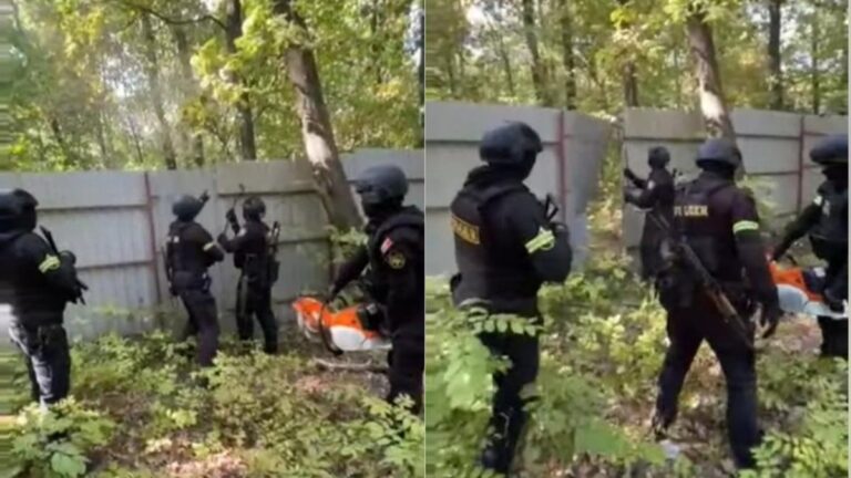 (video) Cauza penală cu privire la pădurea Durlești, pe masa magistraților. Patru persoane învinuite