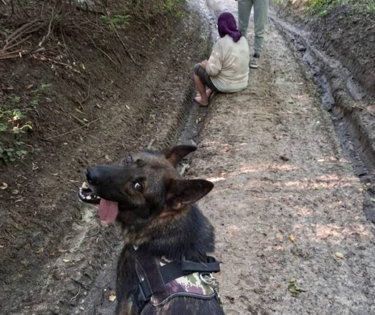 O femeie pierdută de trei zile, găsită cu ajutorul câinelui Cronos. Ce s-a întâmplat cu pensionara