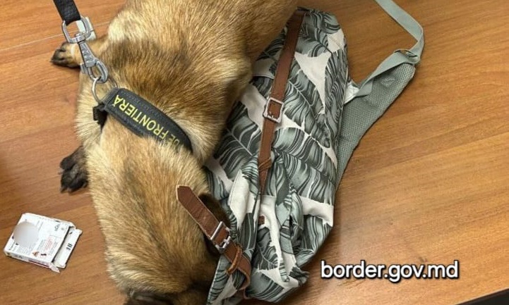Francez prins la vamă cu substanțe psihotrope în ruta Iași-Chișinău