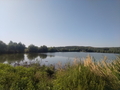 Carabinierii au salvat o fată care intenționa să-și pună capăt zilelor la un iaz din Cahul