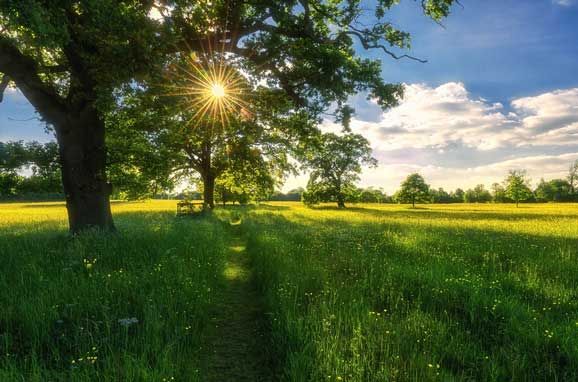 /METEO/ Canicula continuă să acopere Moldova. Temperaturi fierbinți în sudul țării