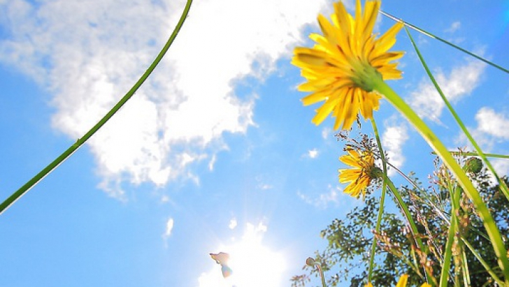 /METEO/ Cer variabil și vreme caniculară. Câte grade vor fi joi, 26 iunie