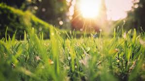 /METEO/ A început vara! Temperaturi generoase, cer senin. Câte grade ne așteaptă luni, 2 iunie