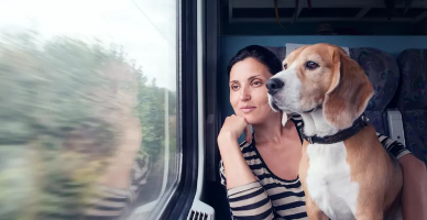 Reguli la intrarea în Republica Moldova cu animale de companie. Mesajul Serviciului Vamal