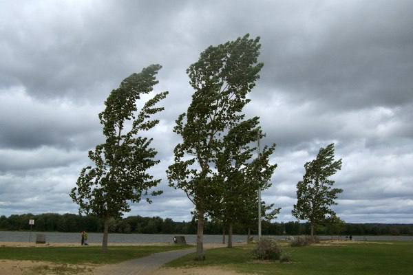 Atenție cetățeni! Meteorologii au emis un nou COD GALBEN