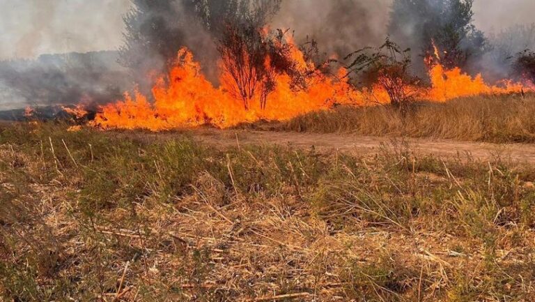 ATENȚIE! Cod galben până pe 17 iulie. Anunțul meteorologilor