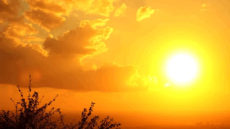 Meteorologii au emis COD PORTOCALIU de vreme caniculară. Ce temperaturi se vor înregistra vineri