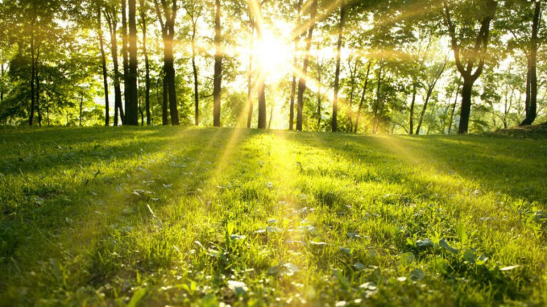 /METEO/ Vreme fierbinte și cod portocaliu. Câte grade vom avea miercuri, 23 iulie