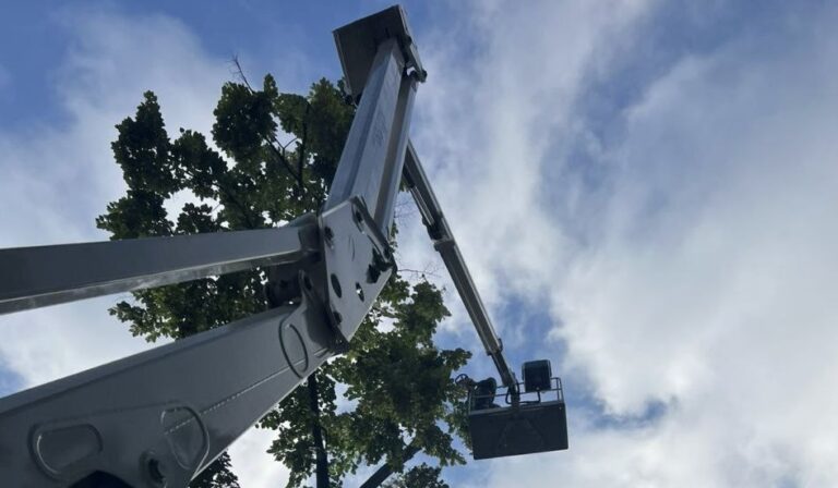 Pagube create de vântul și ploaia puternică de aseară în Chișinău