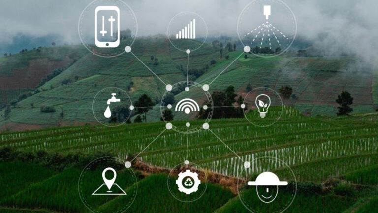 Guvernul a aprobat crearea parcului industrial „AgroTek Park”