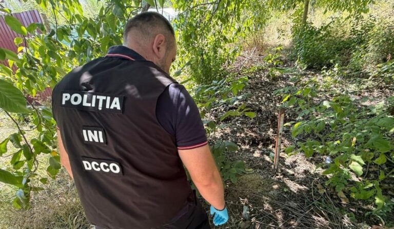 Hașiș, amfetamină și PVP de 400 de mii de lei, confiscate. Patru persoane, arestate, la Chișinău