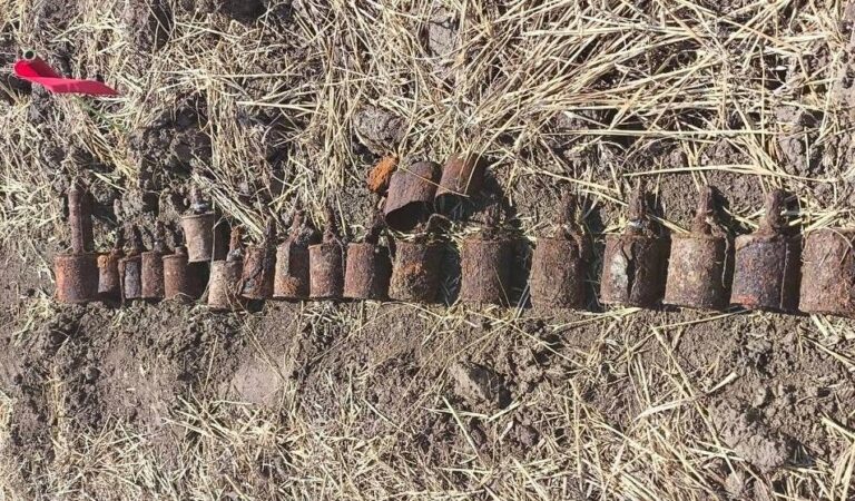 54 de obiecte explozive găsite de geniștii Armatei Naționale în șapte raioane din Moldova