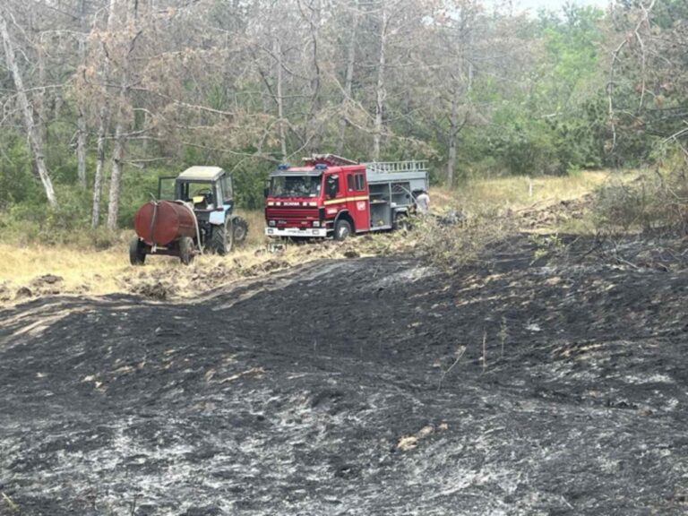20 de hectare de vegetație uscată au fost mistuite de flăcări. Vântul a agravat situația
