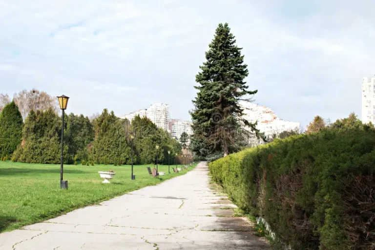 /METEO/ Cer variabil, fără ploi. Câte grade sunt așteptate joi, 21 august