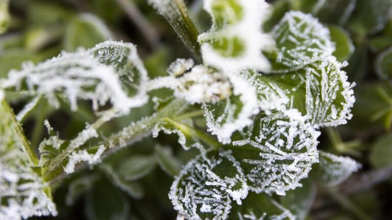 /METEO/ Vreme rece și înghețuri. Câte grade vom avea luni, 20 octombrie