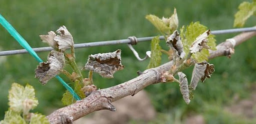 Avertizare de cod galben pe întreg teritoriul țării