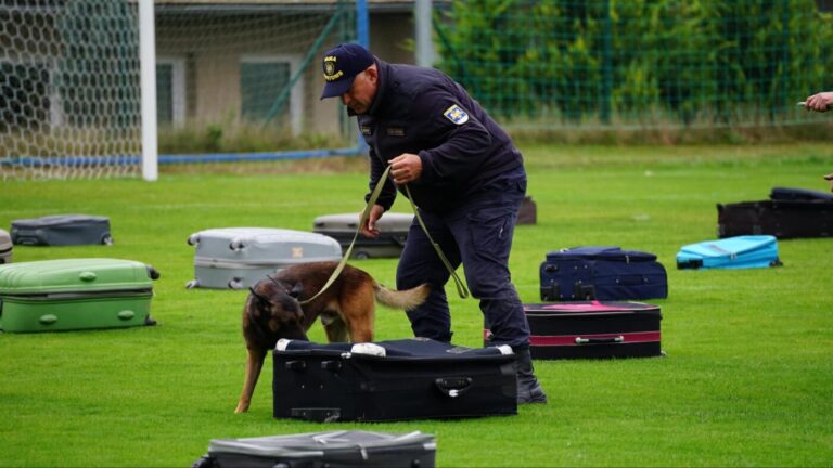 Schimb de experiență între autoritățile franceze și Centrul chinologic al Vămii din Ocnița