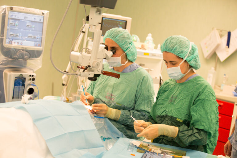 Circa 9.300 de operații de cataractă au fost efectuate, în primele opt luni ale anului 2025