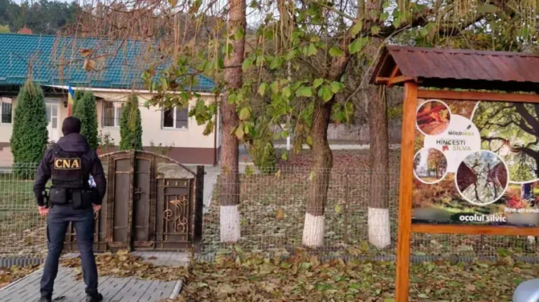 Scheme în pădure: Șapte persoane publice cercetate de CNA pentru angajări fictive și vânzare de lemn