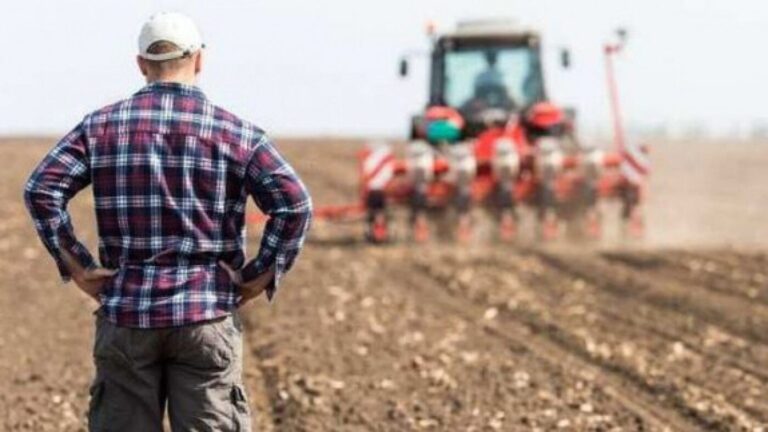 AIPA: Producătorii agricoli rurali susținuți cu peste 40 de milioane de lei în ultima săptămână