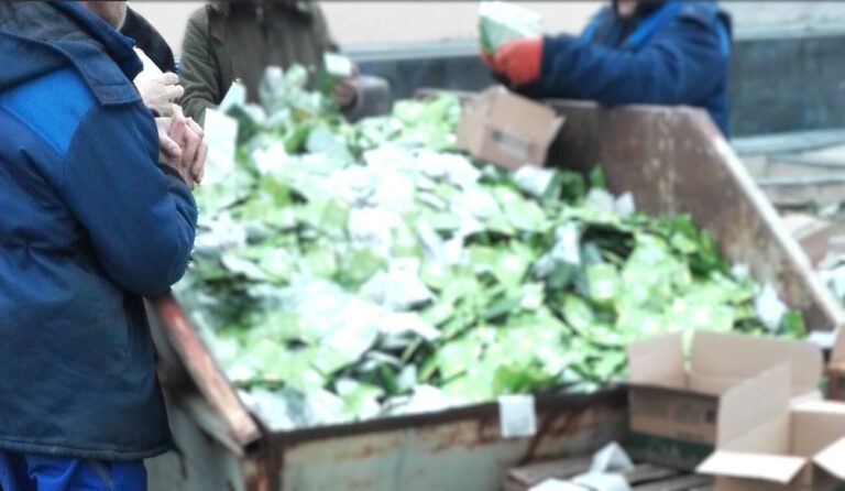 ANSA a intensificat controalele. Mai multe loturi de ceai din import au fost nimicite