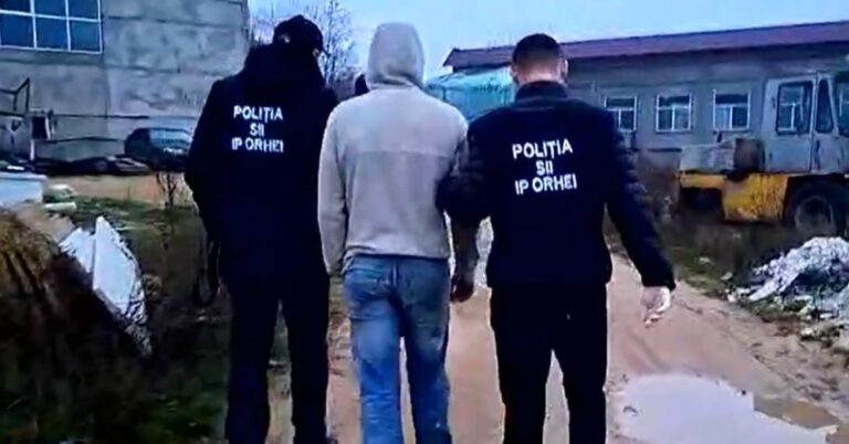 Un tânăr din Fălești reținut pentru cultivare și vânzare de droguri