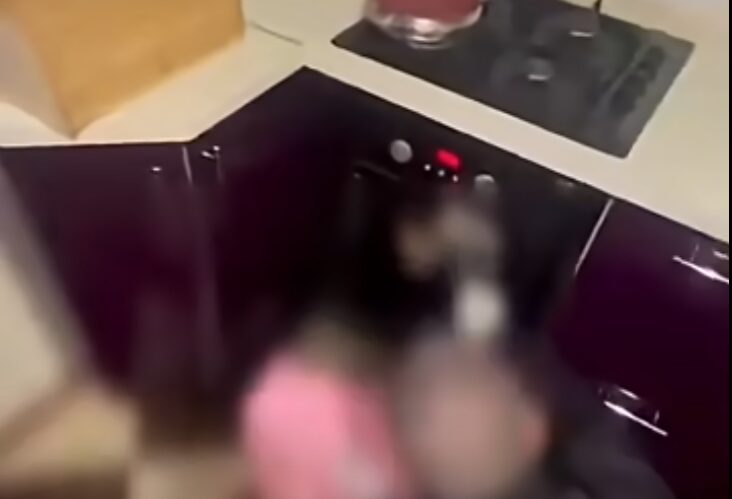 (video) Droguri de circa jumătate de milion de lei găsite într-un cuptor. Suspectul prins chiar în timp ce ambala marijuana