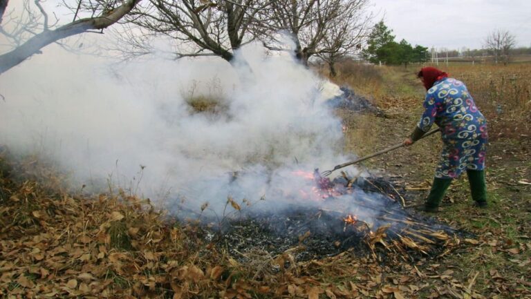Amenzi de 20.000 de lei pentru arderea resturilor vegetale